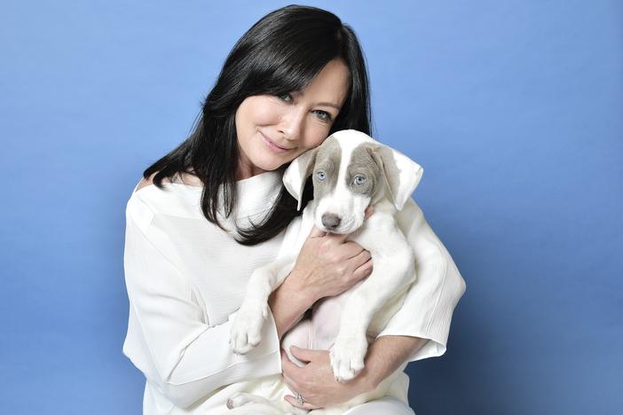 Shannen Doherty, best known for her roles in <em>Beverly Hills 90210</em> and <em>Charmed</em>, died Saturday after her years-long battle with breast cancer.<br>