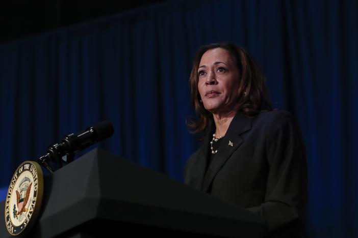 U.S. Vice President Kamala Harris makes remarks before a moderated conversation with former Trump administration national security official Olivia Troye and former Republican voter Amanda Stratton on July 17, 2024 in Kalamazoo, Michigan.