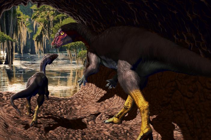  An artist impression of <em>Fona herzogae.</em>