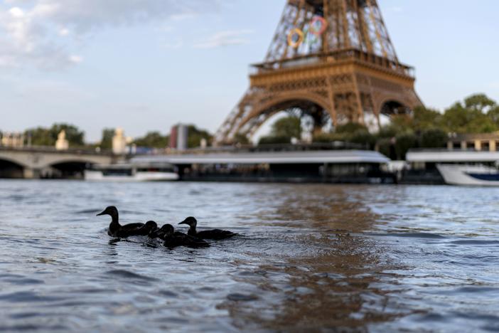 Ducks swim along the Seine River in front of the Eiffel Tower on Monday during the 2024 Summer Olympics. The river's water quality levels on Tuesday forced a one-day delay to the men's triathlon, with organizers blaming last week's rain for the pollution.