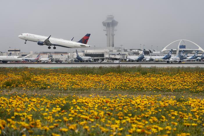 A Delta Air Lines jet takes off at the Los Angeles International Airport in April. Ed Bastian, the airline's CEO, says the CrowdStrike outage has cost the carrier $500 million. 