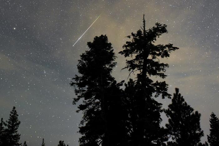 A Perseid meteor streaks across the sky above desert pine trees on Aug. 13, 2015, in the Spring Mountains National Recreation Area in Nevada. 