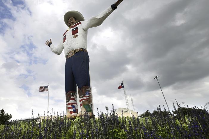 Bluebonnets, the state flower of Texas, is shown surrounding Big Tex as storm clouds move in above, Friday, Sept. 27, 2013, in Dallas.  (AP Photo/Tony Gutierrez, File)