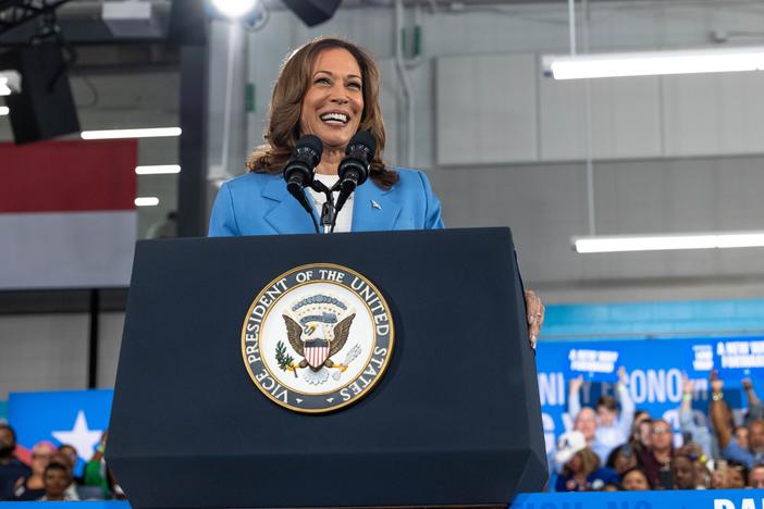 Democratic U.S. presidential candidate Vice President Kamala Harris speaks on her policy platform, including improving the cost of living for all Americans, at the Hendrick Center For Automotive Excellence on August 16, 2024 in Raleigh, North Carolina.