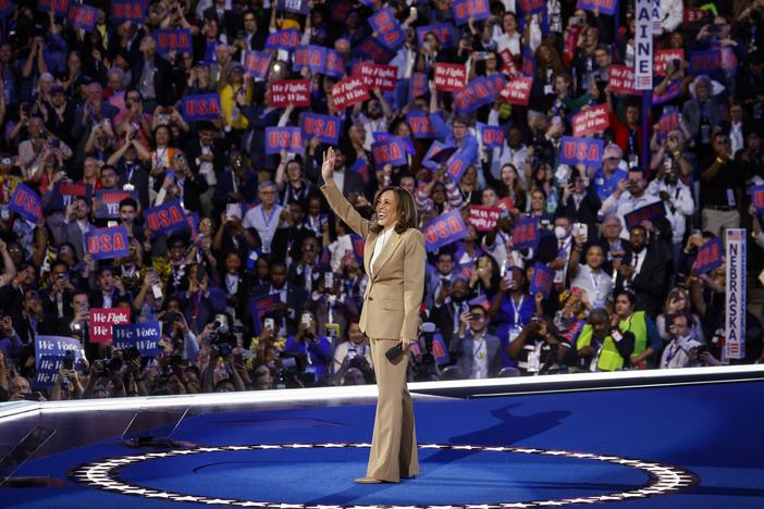 Democratic presidential candidate, U.S. Vice President Kamala Harris speaks onstage during the first day of the Democratic National Convention at the United Center on August 19, 2024 in Chicago, Illinois.