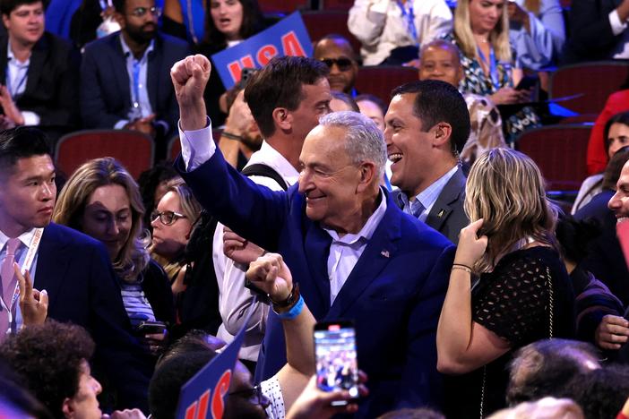 Senate Majority Leader Chuck Schumer gestures on the first day of the Democratic National Convention in Chicago on Monday.