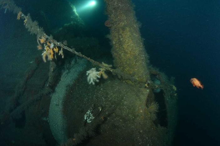 Part of the wreckage of the HMS Hawke is seen in the waters off Scotland's coast.