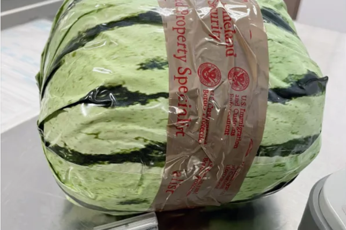 U.S. Customs and Border Protection officers discovered nearly $5 million worth of methamphetamine that was disguised as watermelons at a San Diego checkpoint on Aug. 16.