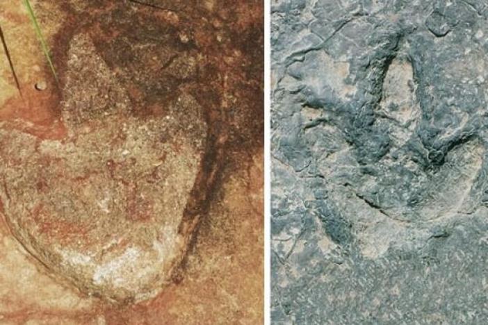 Researchers analyzed theropod footprints in Brazil, left, and in Cameroon, right.