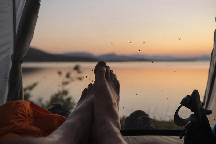  Mosquitoes kill more people than any other creature in the world.  So the key is — try not to get bitten.
