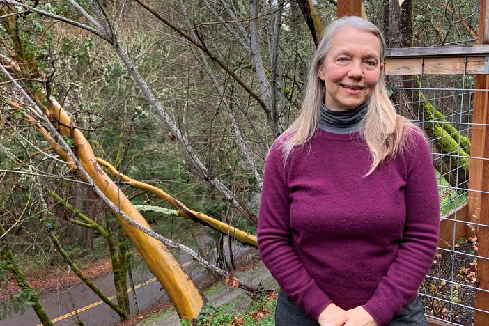 The Rev. Liz Olson is a hospital chaplain who leads a meeting for people suffering from anxiety over climate change. 