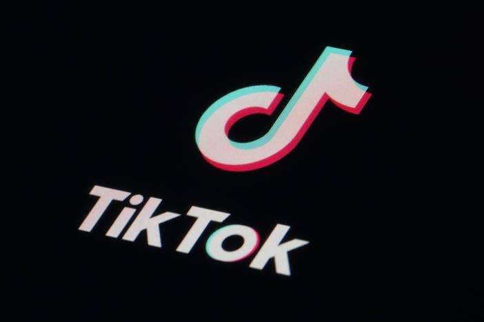 TikTok asked a panel of federal appeal judges on Monday to overturn a law that would ban the app in the U.S. by January unless it fully divests from its Beijing-based parent company. ByteDance. 