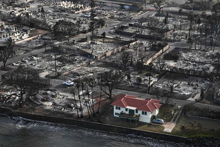 Despite extreme winds and fast-moving flames, researchers say some houses in Lahaina survived the wildfire last August thanks to precautions taken ahead of time. 