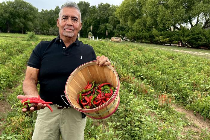 Fidel Martinez raises a quarter-acre of chile at his ancestral home in Chimayo, but he only gives it away to family and friends.