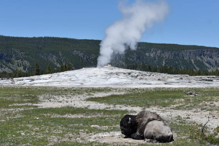 Old Faithful in Yellowstone National Park in Wyoming is seen in 2022. A 60-year-old woman sustained severe burns to her leg after walking off the trail near the geyser this week.