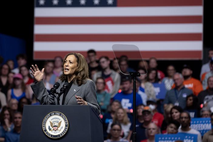 Vice President Kamala Harris speaks during a campaign rally at the Alliant Energy Center on Sept. 20 in Madison, Wis. Harris spoke to a capacity crowd of 10,500 during the event.