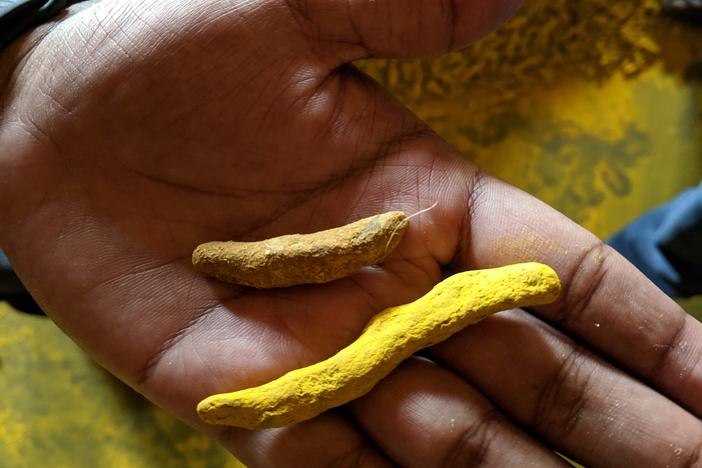 In Bangladesh, turmeric — sold as the root or in a powder form — is a popular spice. In the 1980s, some farmers began adding a dye to make the root more attractive to buyers. But there was a problem with the dye.