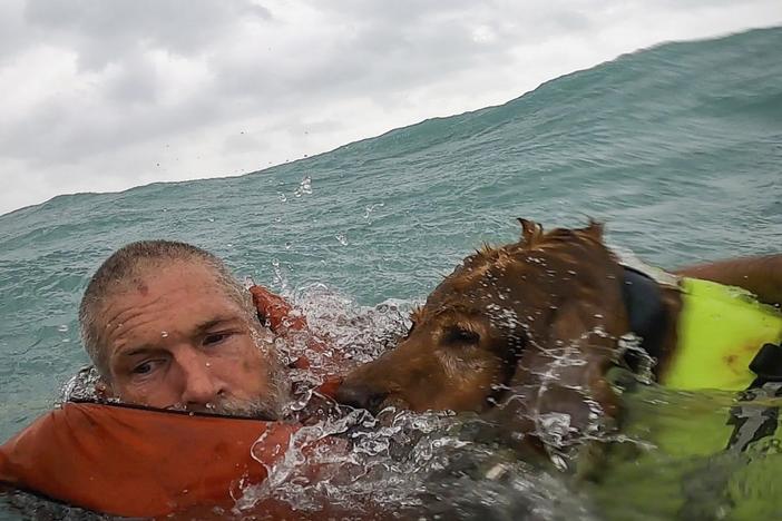 This photo provided by U.S. Coast Guard District Seven (@USCGSoutheast) shows a man and his dog being rescued after his sailboat became disabled during Hurricane Helene approximately 25 miles off Sanibel Island, Fla., on Thursday, Sept. 26, 2024.
