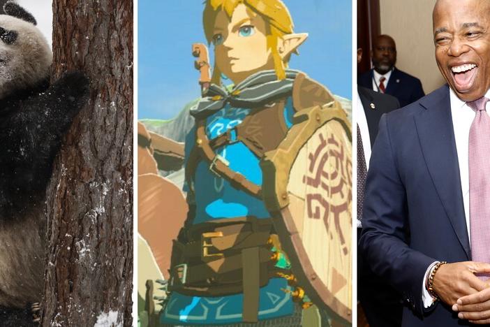  From left: Lumi the panda, Link (not Zelda), New York City Mayor Eric Adams.