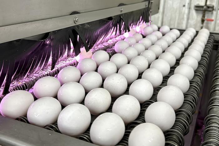 Eggs are cleaned and disinfected in January at the Sunrise Farms processing plant in Petaluma, Calif., which had seen an outbreak of avian flu.