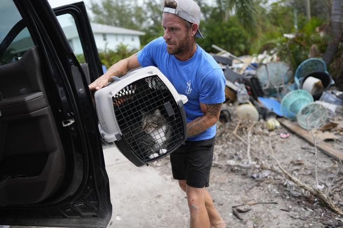 Ted Carlson puts McKenzie, his best friend Evan Purcell's cat, into a pickup in Holmes Beach on Anna Maria Island, Fla., ahead of the arrival of Hurricane Milton. Debris from Hurricane Helene still sits alongside the driveway.