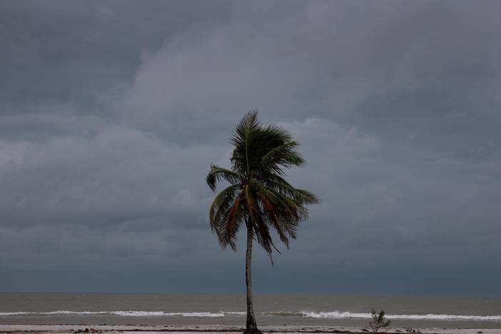 A palm tree next to the beach before Hurricane Milton's arrival on Wednesday, in Fort Myers Beach, Fla. Viral rumors and conspiracy theories have made it more challenging for federal and state officials to share information about the storm and evacuation plans.