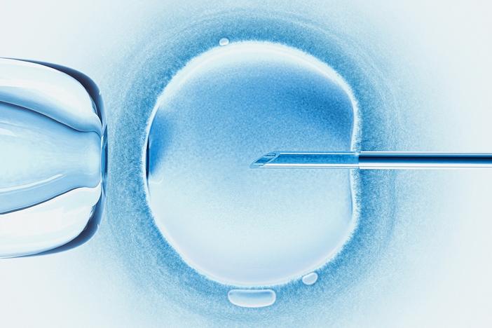 In vitro fertilisation, computer artwork.