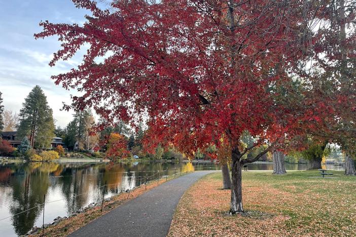Autumn leaves in Bend, Ore.