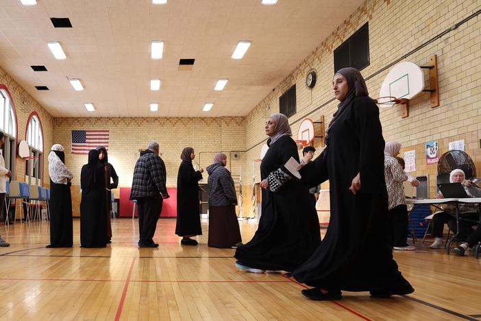 Voters wait in line to vote at the Lowrey School on Tuesday in Dearborn, Mich.