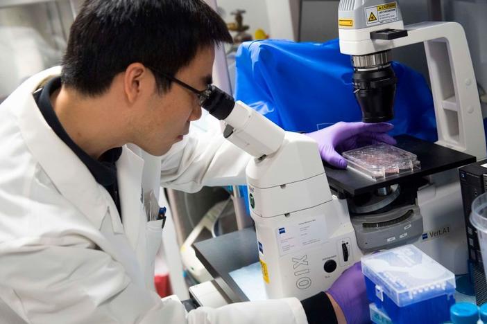 Dr. Benjamin Jin, a biologist, works on immunotherapy for HPV+ cancers, in a lab at the National Cancer Institute at the National Institutes of Health (NIH) in Bethesda, Md., in 2018. The NIH has a $48 billion budget to fund biomedical research.