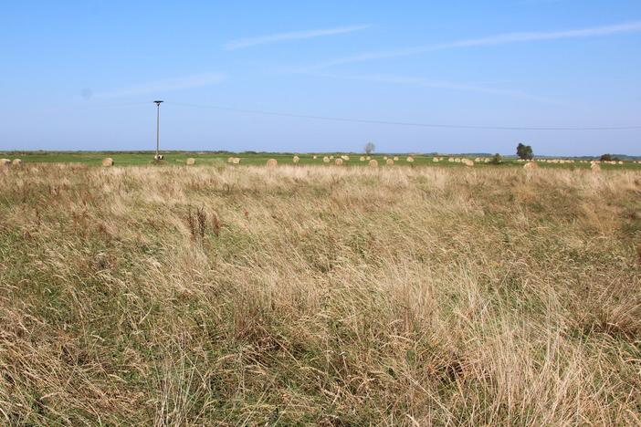 The surface of this field on Germany's Baltic Sea coast has sunk by up to three feet since its protective layer of water was removed.