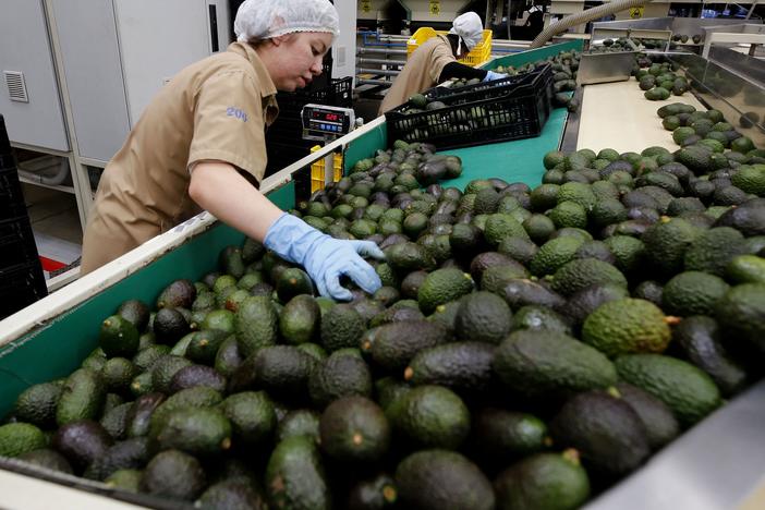 Trump's threat to impose tariffs on Mexico and Canada could end up hurting Americans too. Among the products impacted could be gasoline and guacamoles.