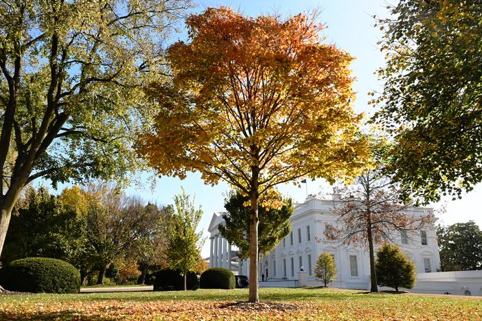 The White House, as seen on Election Day on Nov. 5, 2024.