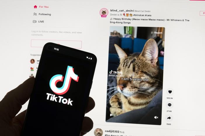"Brain rot" is the term of the year for 2024, referring to concerns that endlessly scrolling through social media videos and other content can cause harm. Here, TikTok's logo is seen on a mobile phone in front of a computer screen showing a TikTok home screen. (AP Photo/Michael Dwyer, File)