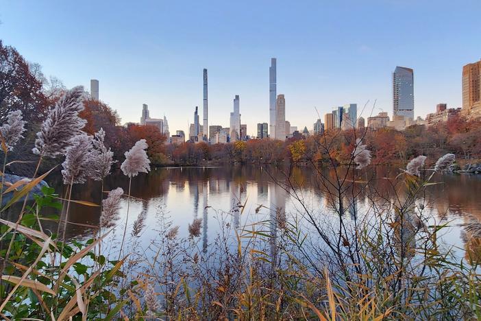 New York City is spectacular at sunrise.  From the wildest corners of Central Park, the city is framed by forests, the sound of traffic and sirens softened by the murmur of mountain streams and geese lifting off from lakes.