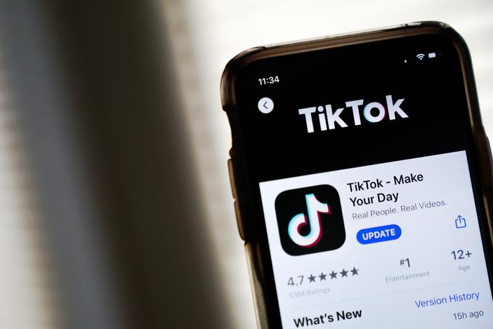 After President Biden signed a law banning TikTok unless it divests from its China-based owner ByteDance, the viral video app sued to block it, arguing the act violates the First Amendment rights of millions of Americans.