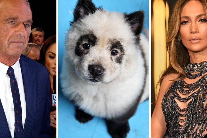 From left: RFK Jr., a panda? a dog?, J.Lo