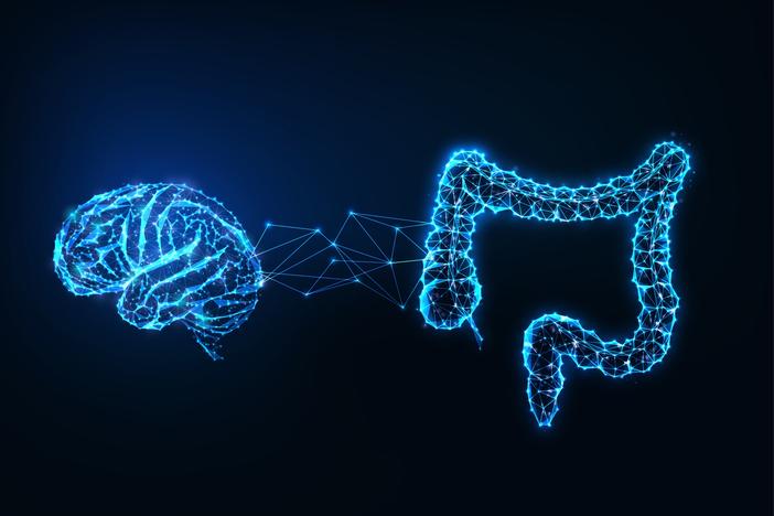 Scientists have identified two types of brain cells in the abdomen that appear to control different aspects of digestion.