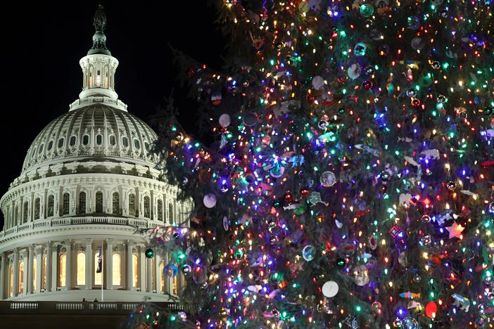 The U.S. Capitol Christmas Tree is up outside the building where GOP leaders are furiously scrambling to find a way to avoid a government shutdown at the end of the day on Friday.