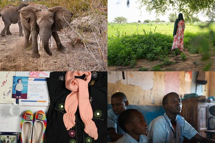 Clockwise from upper left: elephants are clashing with villagers in Zambia; a Sudanese refugee in Chad; 15-year-old Paris Lekuuk of Kenya has decided to start his schooling and is in third grade; artifacts from an Afghan museum honoring those who died in attacks and conflict.<br>