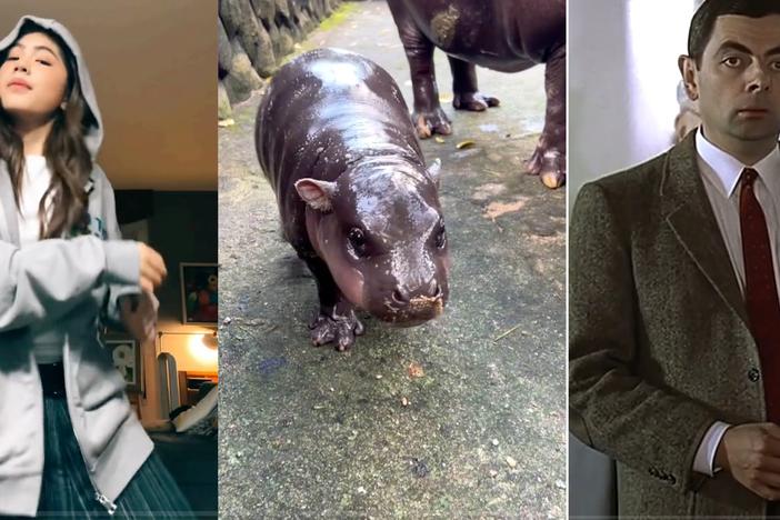 Scenes from some of the most popular TikToks from the Global South in 2024: a dancing teen from the Philippines; that adorable baby pygmy hippo in Thailand; Mr. Bean makes a guest appearance in a TikTok by Khaby Lame.