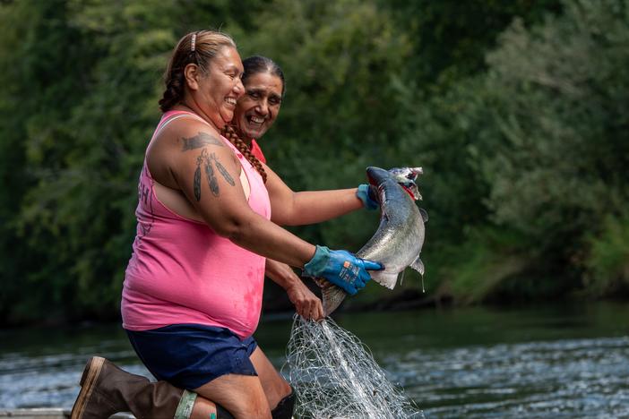 Two people pull a live salmon out of a river with gloved hands while holding a net.