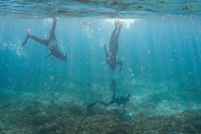Vezo 'ocean monitors' dive on a coral reef in Madagascar's Barren Isles. The data they collect is used to evaluate ocean health and improve conservation decisions.