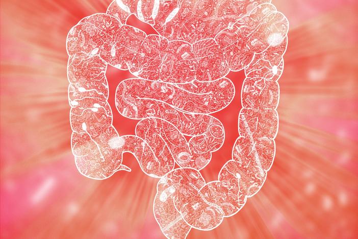 An illustration of the human microbiome. The bacteria in our gut may influence our mental health, research finds.