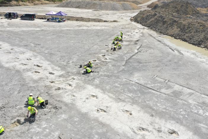 A team of 100 researchers from the Universities of Birmingham and Oxford uncovered around 200 dinosaur footprints along five trackways in southeast England during a week-long excavation in June 2024.