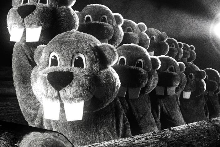 The beavers in the ultra-low-budget comedy <em>Hundreds of Beavers </em>are all played by humans in mascot costumes and it is very, very silly.