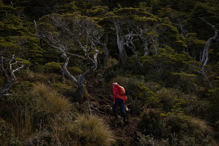 Kristine Tompkins, founder of Tompkins Conservation, hikes up to the Cross of the Seas located in the southernmost point of South America, in Patagonia, Chile, on Nov. 2, 2024.