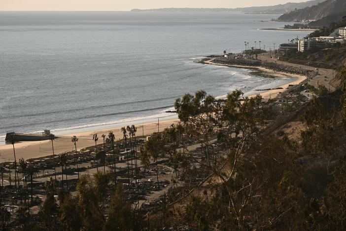 The Pacific Ocean is seen in the distance beyond palm trees and the charred remains of homes destroyed by the Palisades Fire in the Pacific Palisades neighborhood of Los Angeles, California, on January 13, 2025.