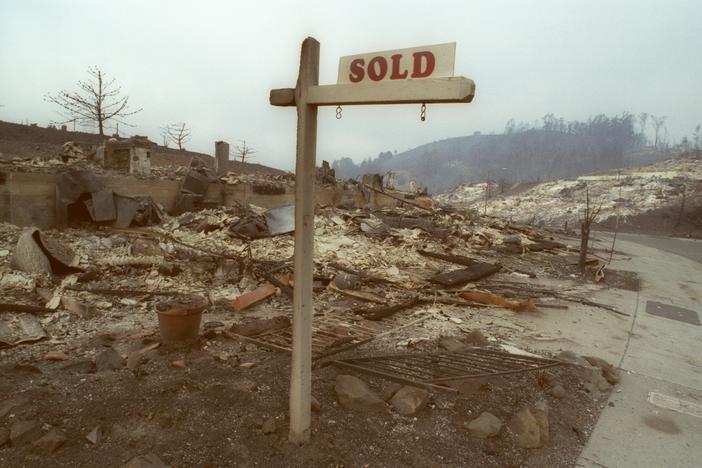Real estate sign left standing amidst smoldering ruins of Oct. 20, 1991 Oakland hills fire.