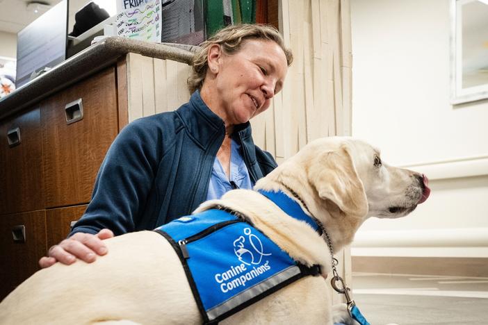 Peppi, a yellow Lab and official "Canine Companion," sits on the lap of OB-GYN Kristina Fraser in November at the HCA HealthONE Rose medical center in Denver.